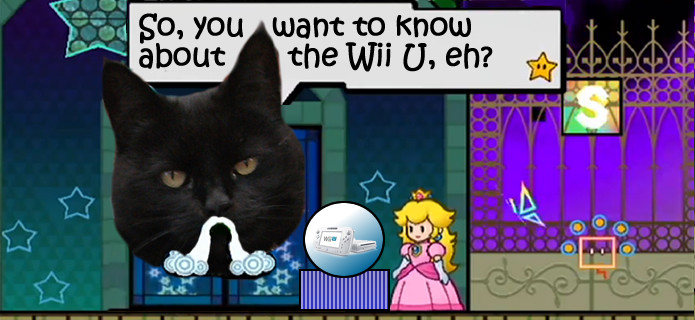 Our psychic cat predicts five things we wish we knew about the Wii U