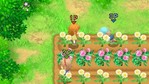 Harvest Moon: The Tale of Two Towns Nintendo 3DS Screenshots