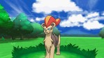 Pokemon X Nintendo 3DS Screenshots