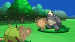 Pokemon Y Nintendo 3DS Screenshots