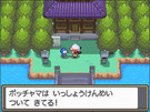 Pokemon Soul Silver Nintendo DS Screenshots
