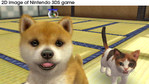 Nintendogs + Cats: Golden Retriever + New Friends Nintendo 3DS Screenshots