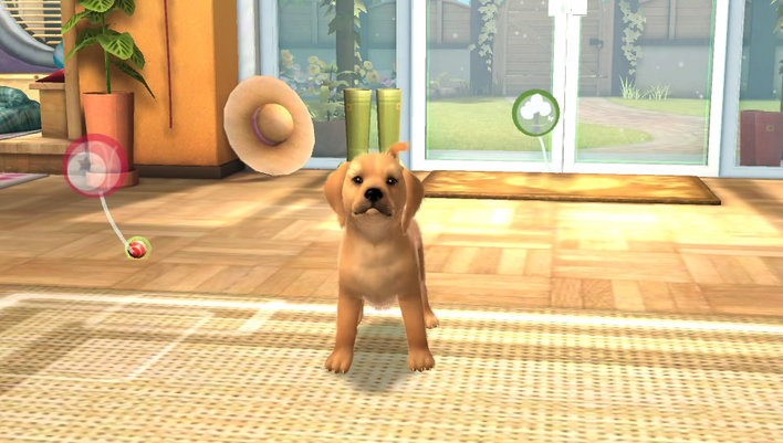PS Vita Pets Screenshot